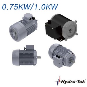 AC MOTOR/ 0.75KW / 1.0KW (540117)