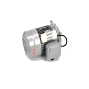 단상 MOTOR (540110)