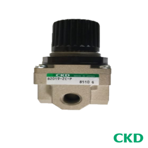  레귤레이터  B2019-2C-P (430132)